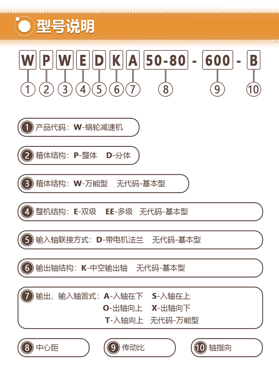 WP-産品單頁-速博雷爾減速機-05.jpg